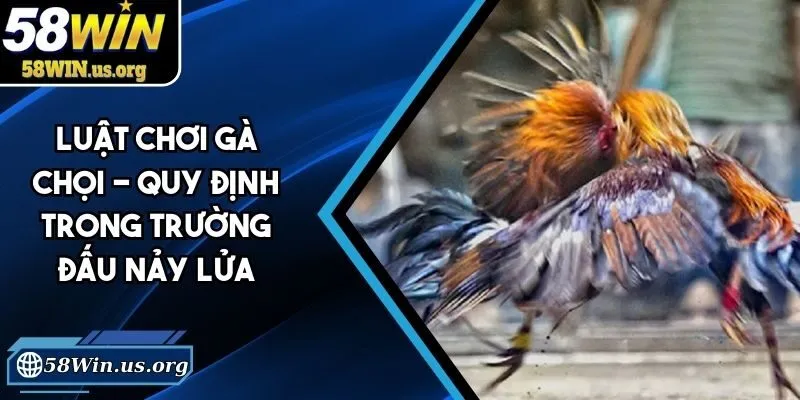 luật chơi gà chọi